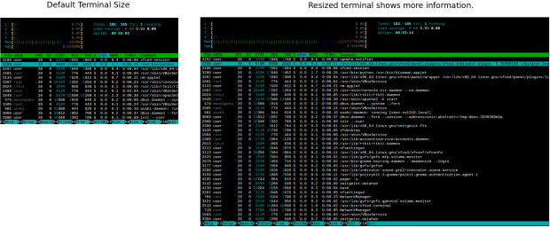 htop resizing shows more information.